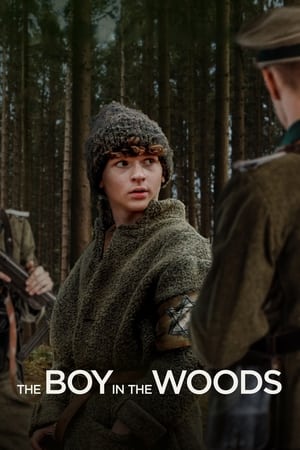 Watch Free The Boy in the Woods (2023)