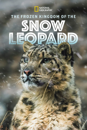 Watch Free The Frozen Kingdom of the Snow Leopard (2020)