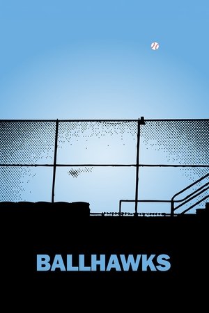 Watch Free Ballhawks (2010)