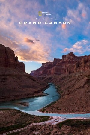 Watch Free Into the Canyon (2019)