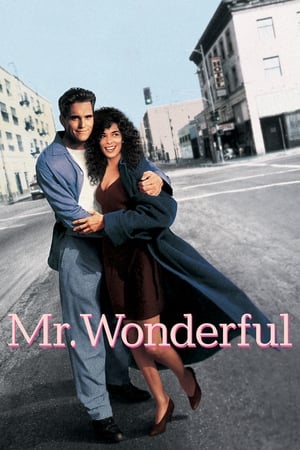 Watch Free Mr. Wonderful (1993)