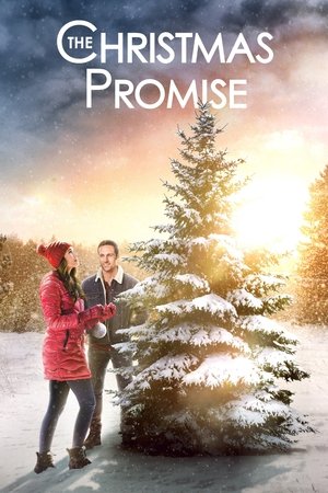 Watch Free The Christmas Promise (2021)
