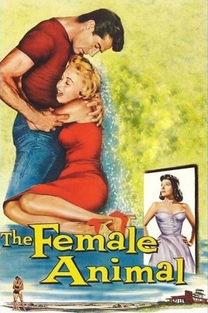 Watch Free The Female Animal (1958)
