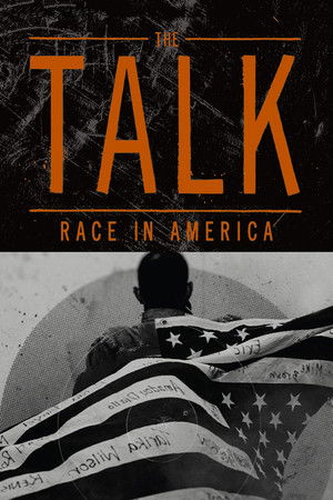 Watch Free The Talk: Race in America (2017)