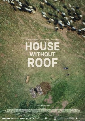Watch Free House Without Roof (2016)