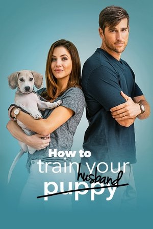 Watch Free How to Train Your Husband or (How to Pick Your Second Husband First) (2018)
