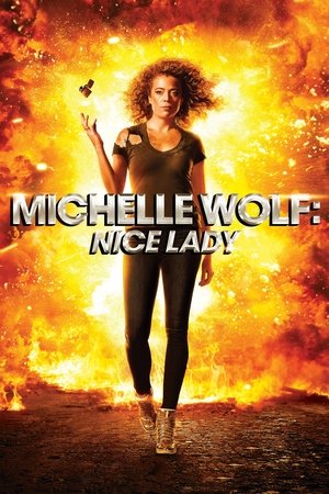 Watch Free Michelle Wolf: Nice Lady (2017)