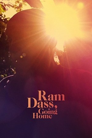 Watch Free Ram Dass, Going Home (2017)