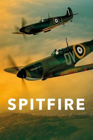 Watch Free Spitfire (2017)