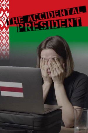Watch Free The Accidental President (2024)