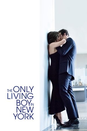 Watch Free The Only Living Boy in New York (2017)