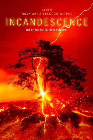 Watch Free Incandescence (2025)