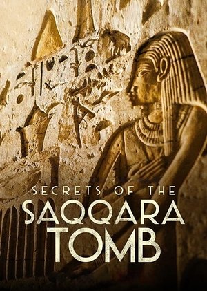 Watch Free Secrets of the Saqqara Tomb (2020)
