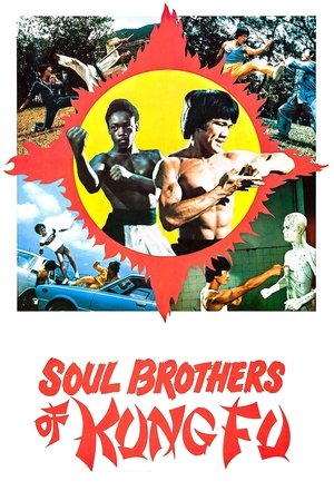 Watch Free Soul Brothers of Kung Fu (1977)