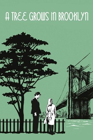 Watch Free A Tree Grows in Brooklyn (1945)