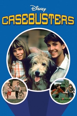 Watch Free Casebusters (1986)