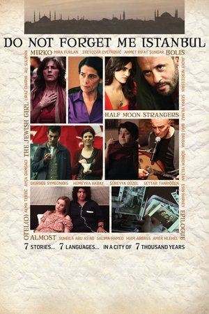 Watch Free Do Not Forget Me Istanbul (2010)