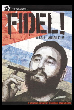 Watch Free Fidel (1971)