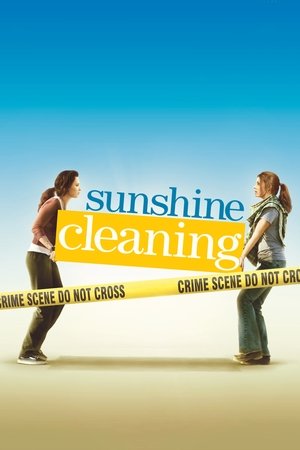 Watch Free Sunshine Cleaning (2008)