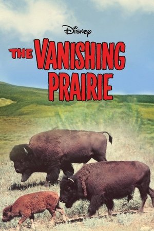 Watch Free The Vanishing Prairie (1954)