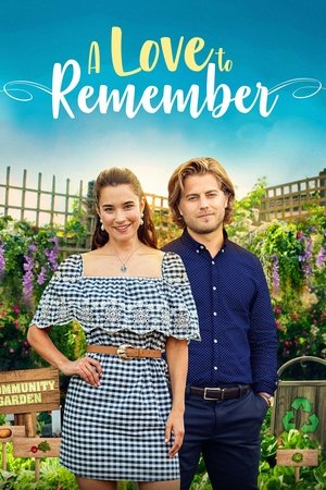 Watch Free A Love to Remember (2021)