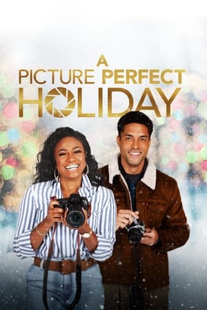 Watch Free A Picture Perfect Holiday (2021)