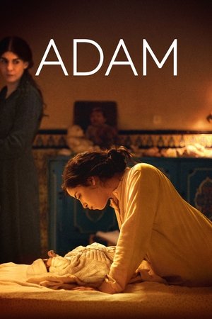 Watch Free Adam (2019)