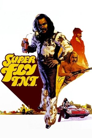 Watch Free Super Fly T.N.T. (1973)