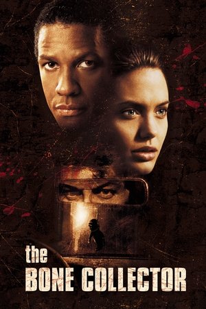 Watch Free The Bone Collector (1999)