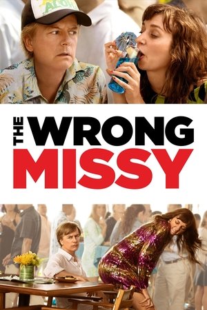 Watch Free The Wrong Missy (2020)