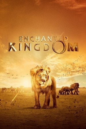 Watch Free Enchanted Kingdom (2014)