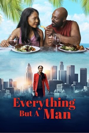 Watch Free Everything But a Man (2016)