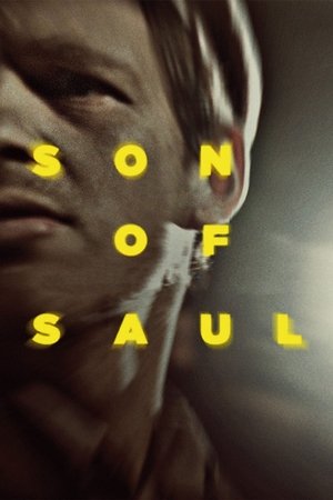 Watch Free Son of Saul (2015)
