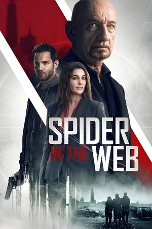 Watch Free Spider in the Web (2019)