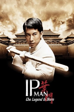 Watch Free Ip Man (2010)