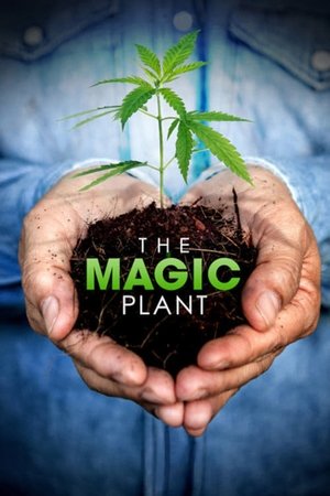 Watch Free The Magic Plant (2020)