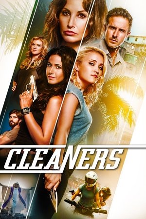 Watch Free Cleaners (2013)