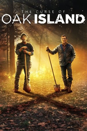 Watch Free The Curse of Oak Island (2014 )