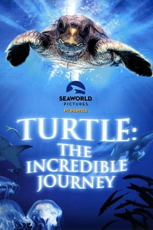 Watch Free Turtle: The Incredible Journey (2009)