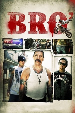 Watch Free Bro (2012)