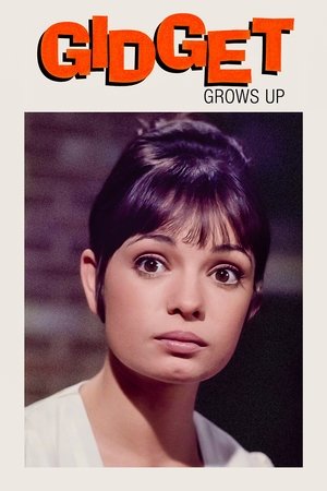 Watch Free Gidget Grows Up (1969)