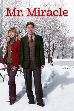 Watch Free Mr. Miracle (2014)