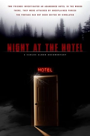 Watch Free Night at the Hotel (2019)