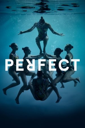 Watch Free Perfect (2016)