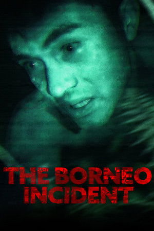 Watch Free The Borneo Incident (2013)
