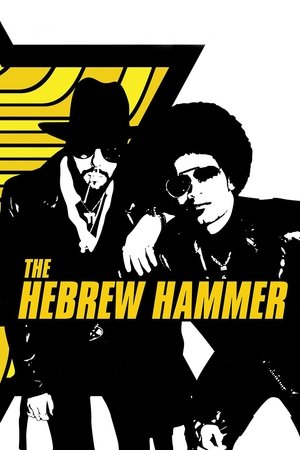 Watch Free The Hebrew Hammer (2003)