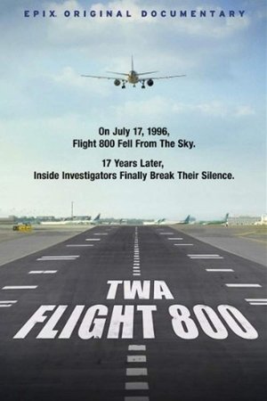 Watch Free TWA Flight 800 (2013)