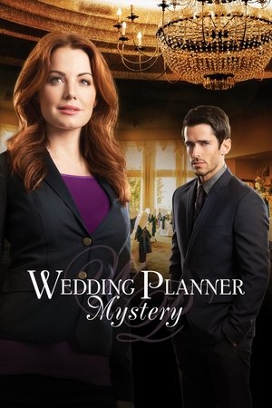 Watch Free Wedding Planner Mystery (2014)