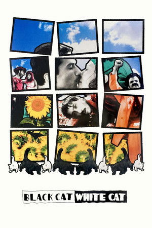 Watch Free Black Cat, White Cat (1998)