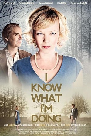Watch Free I Know What Im Doing (2013)